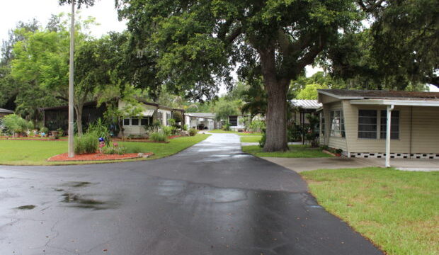 IMG_0810-620×380